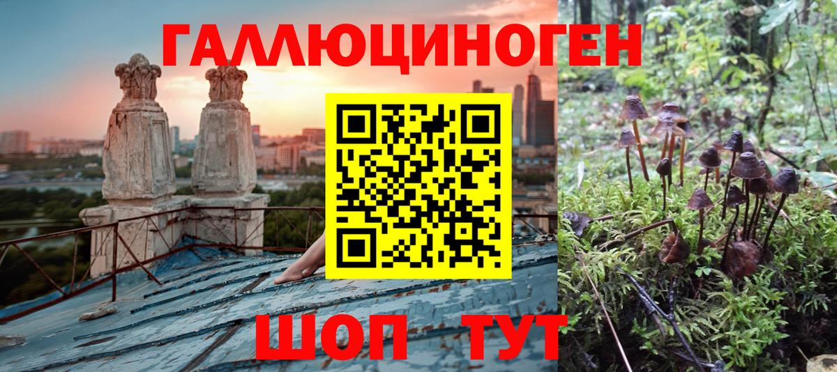 Галлюциногенные грибы прущие грибы  Вход с VPN  купить  сайты  Мурино  Галлюциногенные грибы MAGIC MUSHROOMS 